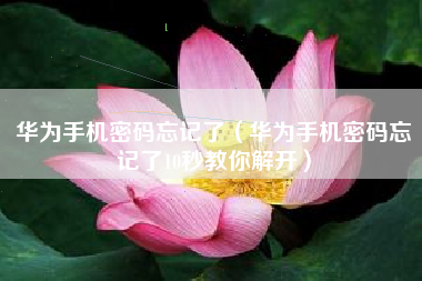 华为手机密码忘记了（华为手机密码忘记了10秒教你解开）