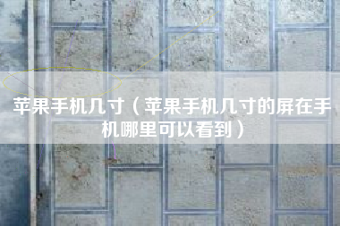 苹果手机几寸（苹果手机几寸的屏在手机哪里可以看到）