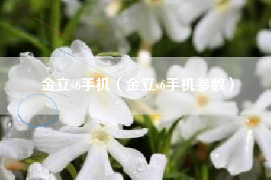 金立s6手机（金立s6手机参数）
