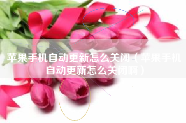 苹果手机自动更新怎么关闭（苹果手机自动更新怎么关闭啊）