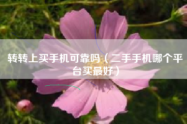 转转上买手机可靠吗（二手手机哪个平台买最好）