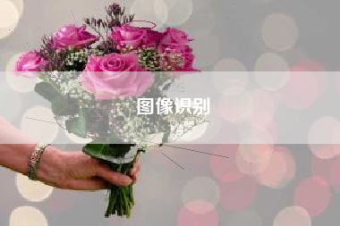图像识别