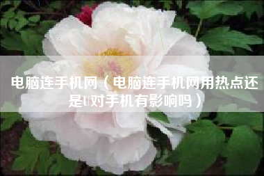 电脑连手机网（电脑连手机网用热点还是U对手机有影响吗）