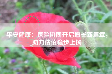 平安健康：医险协同开启增长新篇章，助力估值稳步上扬