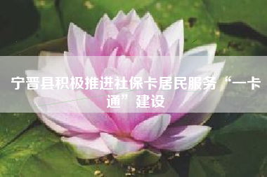 宁晋县积极推进社保卡居民服务“一卡通”建设