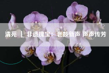 清苑 ｜ 非遗瑰宝：老鼓新声 声声传芳