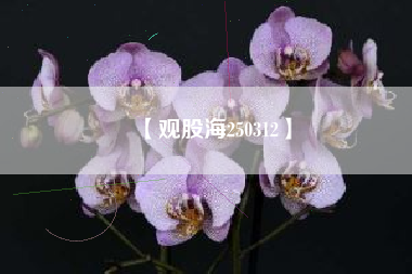【观股海250312】