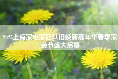 2025上海家电家居以旧换新嘉年华春季家装节盛大启幕