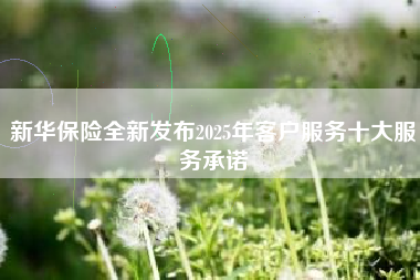 新华保险全新发布2025年客户服务十大服务承诺