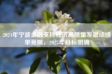 2024年宁波金融支持经济高质量发展成绩单亮眼，2025年目标明确