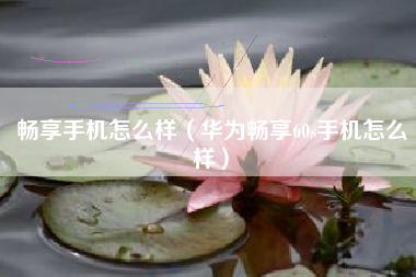 畅享手机怎么样（华为畅享60s手机怎么样）