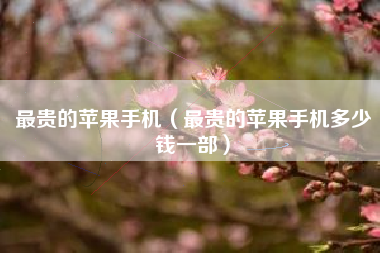 最贵的苹果手机（最贵的苹果手机多少钱一部）