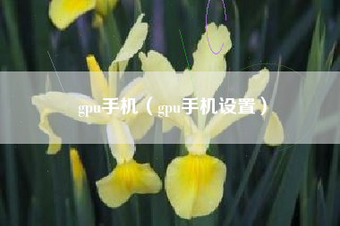gpu手机（gpu手机设置）