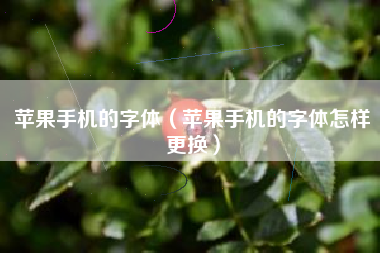 苹果手机的字体（苹果手机的字体怎样更换）