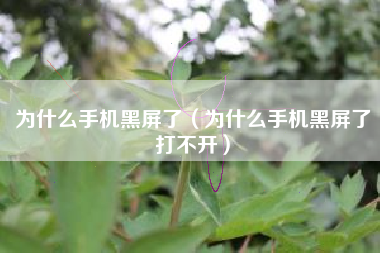 为什么手机黑屏了（为什么手机黑屏了打不开）
