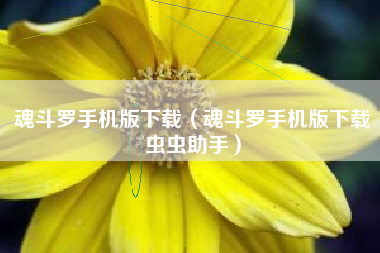 魂斗罗手机版下载（魂斗罗手机版下载虫虫助手）