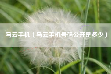 马云手机（马云手机号码公开是多少）