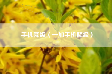 手机降级（一加手机降级）
