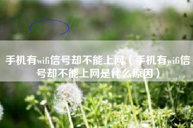 手机有wifi信号却不能上网（手机有wifi信号却不能上网是什么原因）