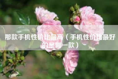 那款手机性价比最高（手机性价比最好的是哪一款）