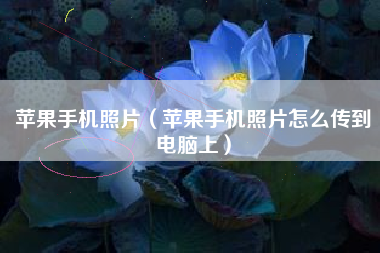 苹果手机照片（苹果手机照片怎么传到电脑上）