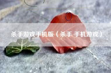 杀手游戏手机版（杀手 手机游戏）