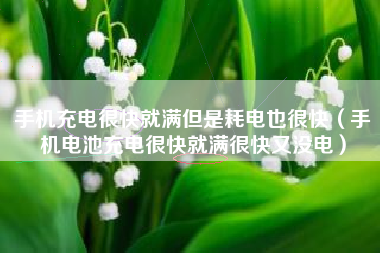 手机充电很快就满但是耗电也很快（手机电池充电很快就满很快又没电）