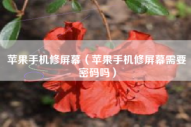 苹果手机修屏幕（苹果手机修屏幕需要密码吗）