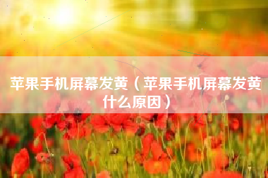 苹果手机屏幕发黄（苹果手机屏幕发黄什么原因）