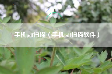 手机pdf扫描（手机pdf扫描软件）