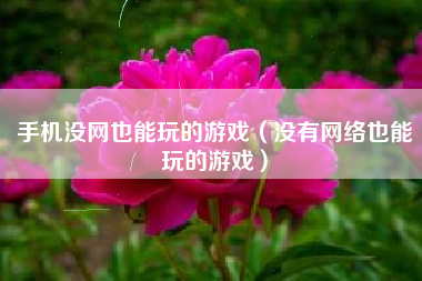 手机没网也能玩的游戏（没有网络也能玩的游戏）