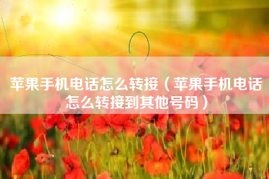 苹果手机电话怎么转接（苹果手机电话怎么转接到其他号码）