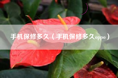 手机保修多久（手机保修多久oppo）