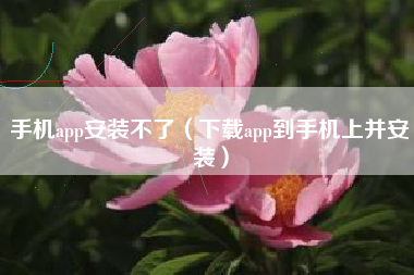 手机app安装不了（下载app到手机上并安装）
