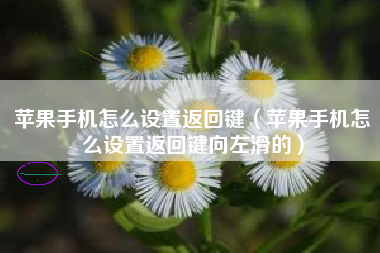 苹果手机怎么设置返回键（苹果手机怎么设置返回键向左滑的）