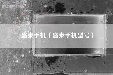 盛泰手机（盛泰手机型号）
