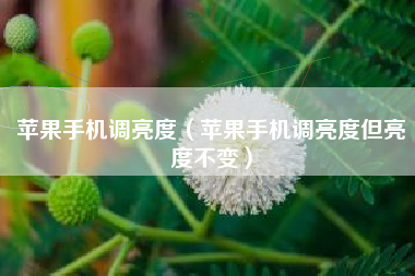 苹果手机调亮度（苹果手机调亮度但亮度不变）