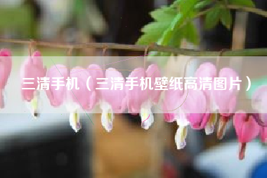 三清手机（三清手机壁纸高清图片）