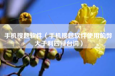 手机搜题软件（手机搜题软件使用的弊大于利四辩台词）