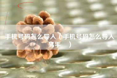 手机号码怎么导入（手机号码怎么导入另手朿）