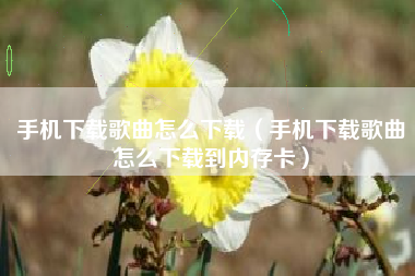 手机下载歌曲怎么下载（手机下载歌曲怎么下载到内存卡）