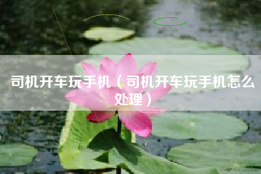 司机开车玩手机（司机开车玩手机怎么处理）