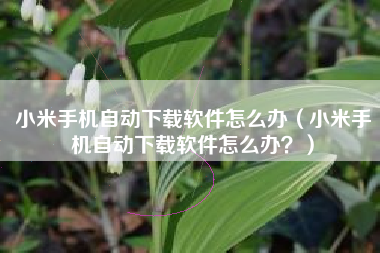小米手机自动下载软件怎么办（小米手机自动下载软件怎么办？）