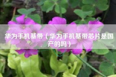 华为手机基带（华为手机基带芯片是国产的吗）