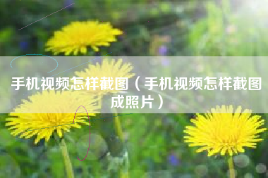 手机视频怎样截图（手机视频怎样截图成照片）