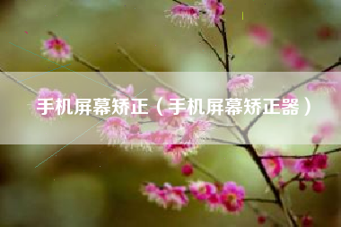 手机屏幕矫正（手机屏幕矫正器）