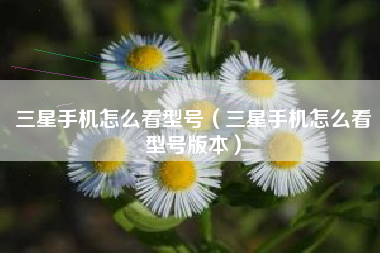 三星手机怎么看型号（三星手机怎么看型号版本）