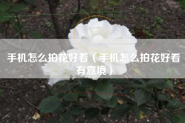 手机怎么拍花好看（手机怎么拍花好看有意境）