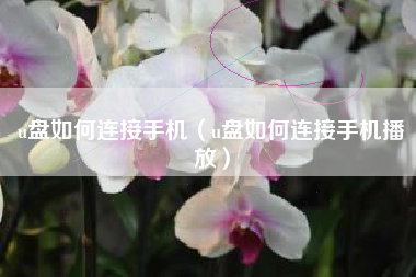 u盘如何连接手机（u盘如何连接手机播放）