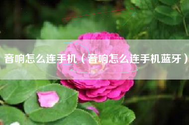 音响怎么连手机（音响怎么连手机蓝牙）
